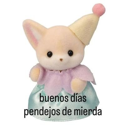 Jwehope y Vwuh ♡| 아포방포 ✧*☆ | VI A TWICE CON VAL Y ME ENAMORÉ MAS DE MOMO 🩷