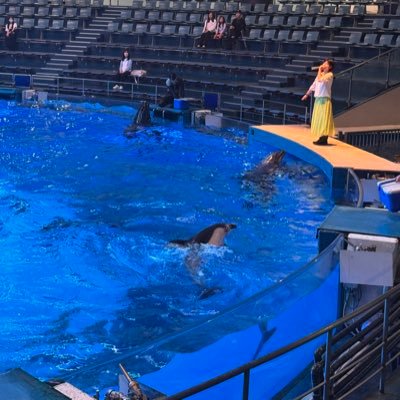 ボートと戸田公園が大好き。 エルゴの記録用です。