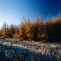 AustinMaso28742's profile picture. Passionate about coin collecting, basketball, knitting. A globally-minded and results-driven person who is working in advertising creative.