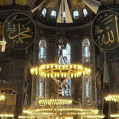 1vs41vs4137606's profile picture. 