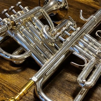 y__xozx's profile picture. Trumpet Electone