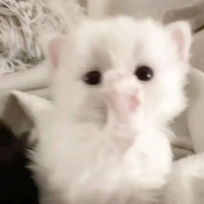 hwangdo1913's profile picture. 