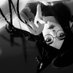ru ru (@ruruponxiv) Twitter profile photo ru ru (@ruruponxiv) Twitter profile photo
