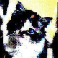 🎀frances🪽 (@pinkertonfan555) 's Twitter Profile Photo 🎀frances🪽 (@pinkertonfan555) 's Twitter Profile Photo