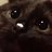whynotjooms's profile image