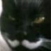WCQHXS (@byydwc) Twitter profile photo WCQHXS (@byydwc) Twitter profile photo