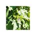 vvvvv (@sixhundredthone) Twitter profile photo vvvvv (@sixhundredthone) Twitter profile photo