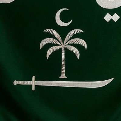 صفحة تاريخ بني هلال بن عامر من الجاهلية لزمن التغريبة 705