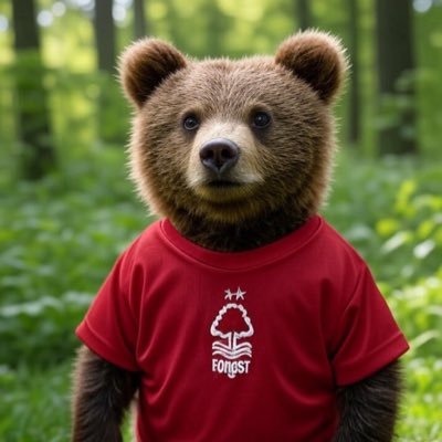 vanman9977's profile picture. Forever forest 🔴🔴 👍🏻👍🏻