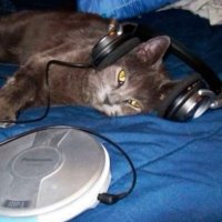 D0t.N3t (@d0t_net_) 's Twitter Profile