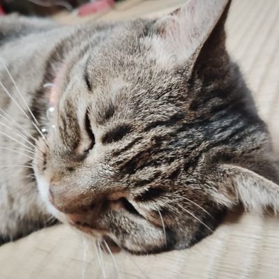 aJ7gyAnD4zSUZZr's profile picture. 下手くそな車券しか買えませんが宜しく〜