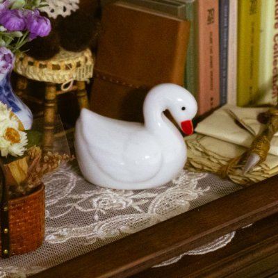 swan_vn's profile picture. 