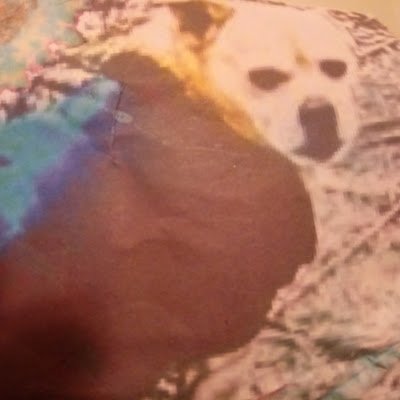 aquasparadise's profile picture. 