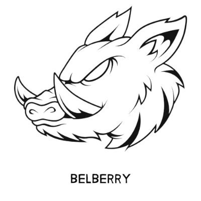 BelBerry49's profile picture. Making 3D printed, figure