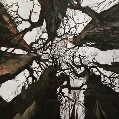 _korpsve's profile picture. 19.