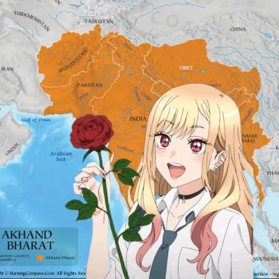 GasheBraer's profile picture. Alt