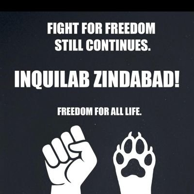 ZERO tolerance towards crime against animals, as they cannot raise their voice.