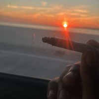 cameraman with da long (@tomcrazy813) 's Twitter Profile