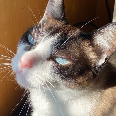 Cristã reformada ✟, esposa do @Ricouts_da_Lyss e mãe.
Posto só por diversão e pra descontrair