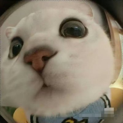Bitsun41's profile picture. 