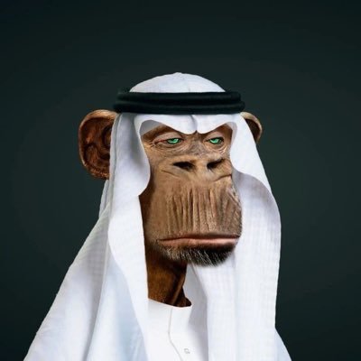 billionshabibi's profile picture. crypto0,000,000