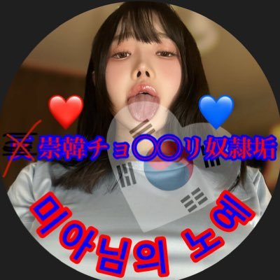 反崇韓のくだらないプライドを捨てミア様にアカウントを差し出しました💕 マゾチョ◯◯リらしい態度をこれから学習していきたいです❤️💙 ❤️대한민국🇰🇷만세💙