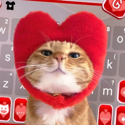 JosieKika's profile picture. welcome to join us.
get ur own ai video!!