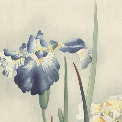 QsV4q's profile picture. 艺术