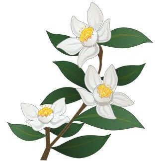 ボンド所属研修生の橘旺叶(たちばなおうか)です!皆に会うために準備中🥺IRIAM関係者フォロバ100%!無言フォロー許してください🙇♀️片思いは3日まで🥰DM事務所管理です📨