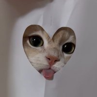buvm_M (@buvm_m) 's Twitter Profile Photo