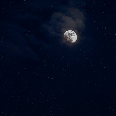 sm00thies___'s profile picture. 