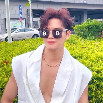 edsonweb3's profile picture. #dyor #Bitcoin #AIcrypto 《加密破产之重生版》