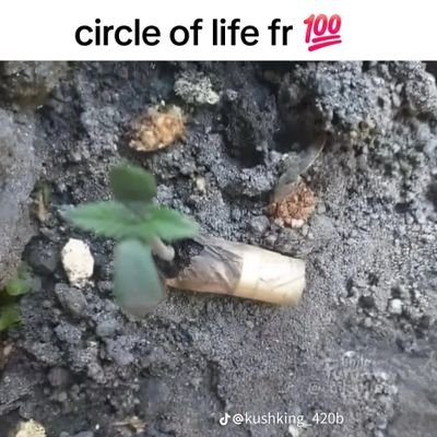 michael_le90809's profile picture. 