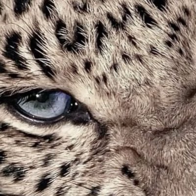 IMakeSuperSuits's profile picture. NJ for January
