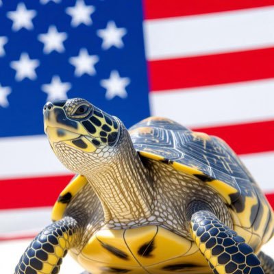 PATRIOT 🇺🇸 I am Anti-woke, Military family, I support my country AND my President 🫡 *random DM’s get blocked*