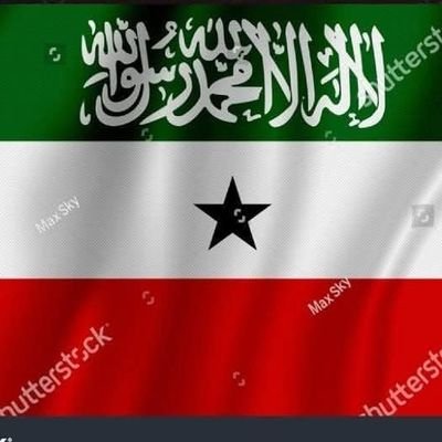 youngsomaliland's profile picture. 