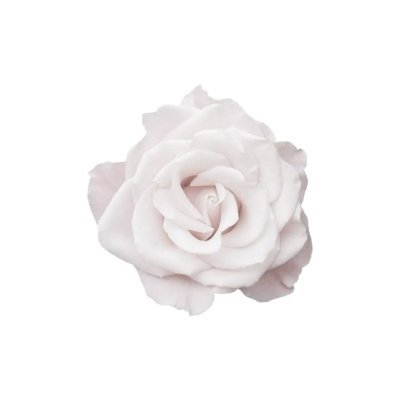 vaaa830296's profile picture. 