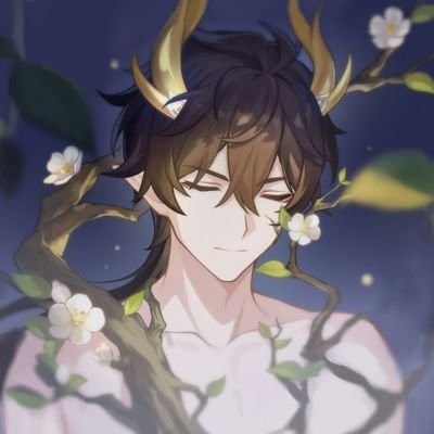 24 | ceo of Tartaglia C6R1 & Aventurine E6S2 ✧ Verso Dessendre main | Shadow kinnie 🖤 |