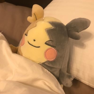 月さんのプロフィール画像
