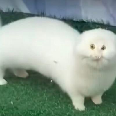 hotgg15's profile picture. 