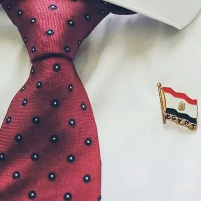 مصر 🇪🇬 ثم ياتي الجميع🇵🇸 فلسطين قضتي أنا وكل شريف اعزنا الله بالإسلام وذلتنا العروبه ✍️ذئب يحكي قصة عوي ل ضي القمر
