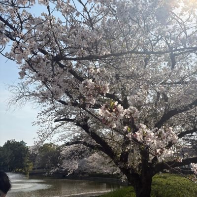 33Ug06CsAT67641's profile picture. 