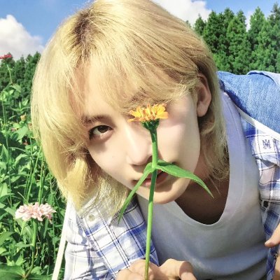 缘分ㅤ ⏤ㅤ𝗌𝗁𝖾 𝗁𝖾𝗋 𝟢𝟧 .ᐟ
🌿 𝗂𝗇 𝖺 𝗆𝖾𝖺𝖽𝗈𝗐 𝗐𝗂𝗍𝗁 #정한 🌸
🪻 𝖾𝗏𝖾𝗋𝗒 𝖻𝗅𝗈𝗈𝗆 𝖼𝖺𝗋𝗋𝗂𝖾𝗌 𝗅𝗈𝗏𝖾 ೀ