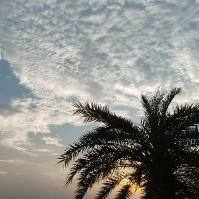 sozibalamin777's profile picture. 