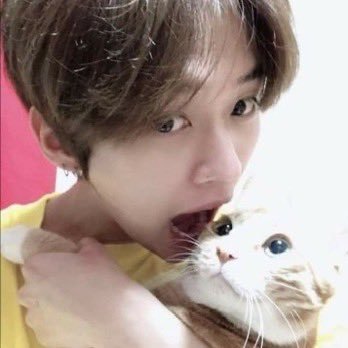 leeknowbutt's profile picture. hii this is for when i use k word too much and get limited :3 main acc: @hoesbemaddin