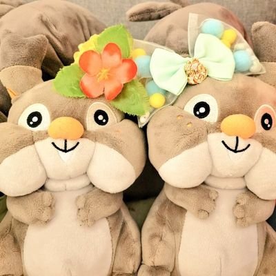 ほたてさんのプロフィール画像