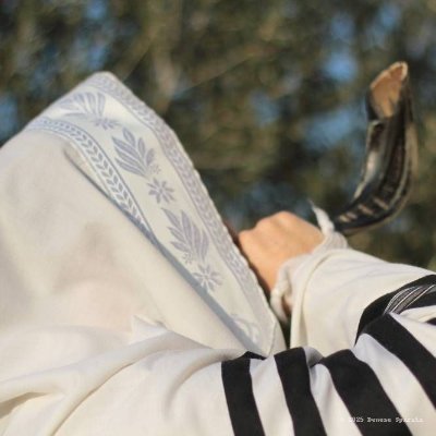 DeneseGotW's profile picture. Author of Torah Portion Weekly Journal - Join a community sharing Torah portion insights each week & feast day reflections - Growing together in Yeshua.