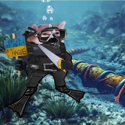 I am me....a very colourful me! At the bottom of the sea is where I be .....