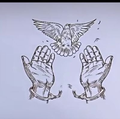‼️🌞🕊️⛓️‼️ özgürlüğü alınan bir kuş misaili gibi