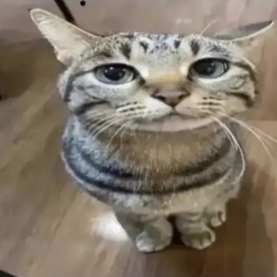 bluemiink's profile picture. hey